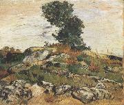 Vincent Van Gogh Rocks with Oak Trees (nn04) oil on canvas